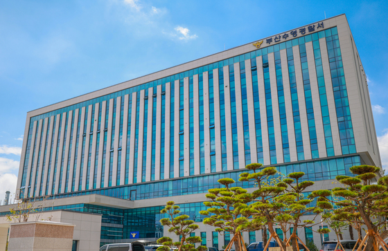 암에 좋다 해서…양귀비 담금주 마신 30대, 복통에 병원갔다 덜미