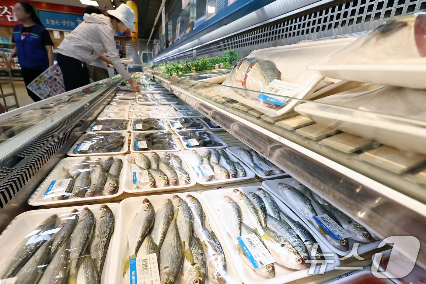 본문 이미지 - 지난 8월 서울의 한 대형마트를 찾은 시민들이 장을 보고 있다. 2025.8.5/뉴스1 ⓒ News1 구윤성 기자