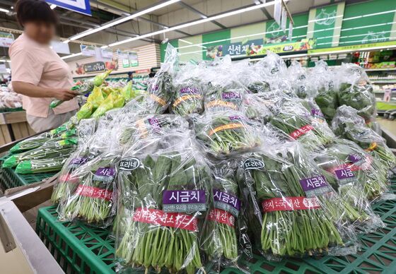 시금치 78%·열무 57% 폭염·폭우에 물가 또 비상…소비쿠폰도 변수