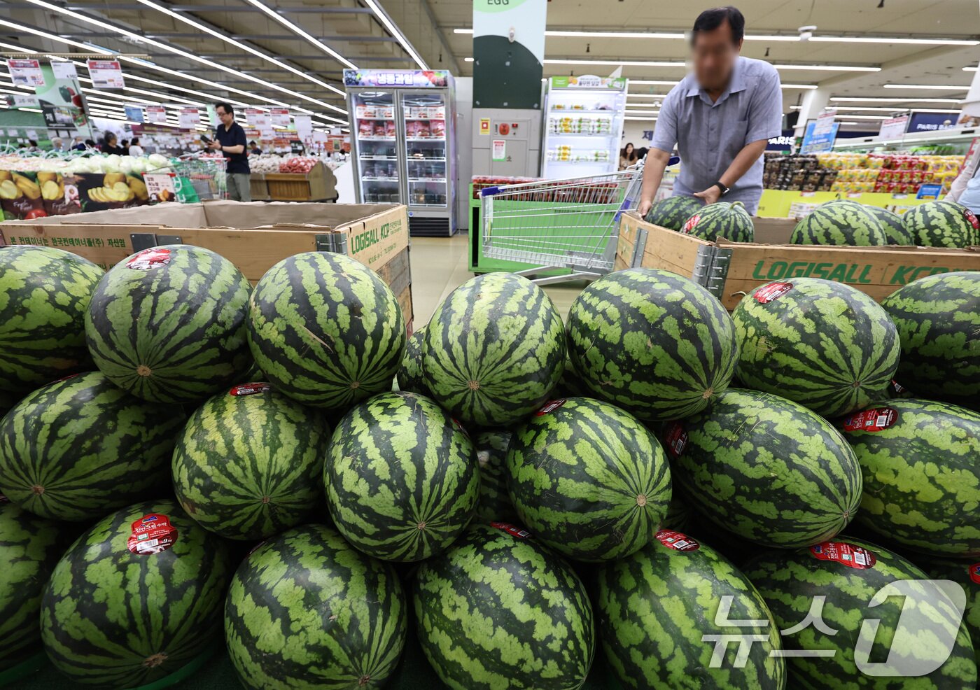 본문 이미지 -  서울의 한 대형마트를 찾은 시민이 수박을 고르고 있다.  2025.8.5/뉴스1 ⓒ News1 구윤성 기자
