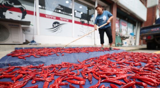 고추 말리는 어르신