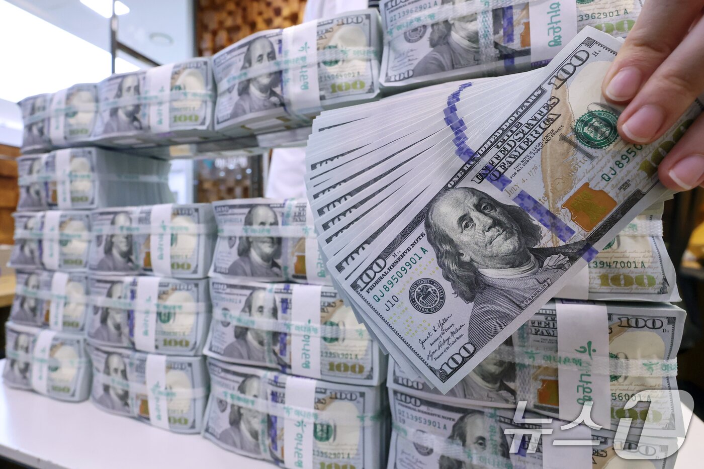 본문 이미지 - 일 서울 중구 하나은행 위변조대응센터에서 직원이 100달러 지폐를 살펴보고 있다, 2025.8.5/뉴스1 ⓒ News1 민경석 기자