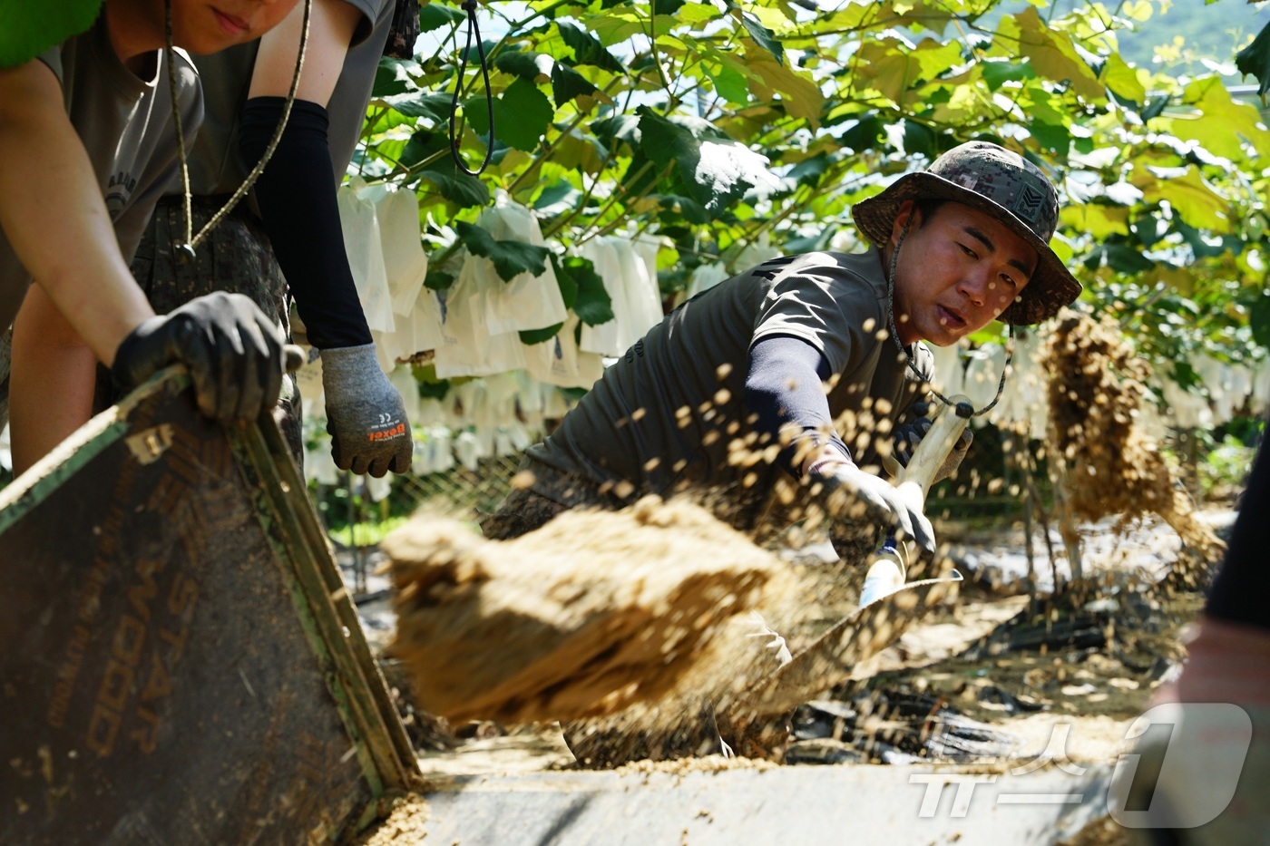 (가평=뉴스1) 양희문 기자 = 육군 수도기계화보병사단이 5일 경기 가평군 일대에서 수해 복구 작업을 돕고 있다.(수기사 제공, 재판매 및 DB 금지) 2025.8.5/뉴스1