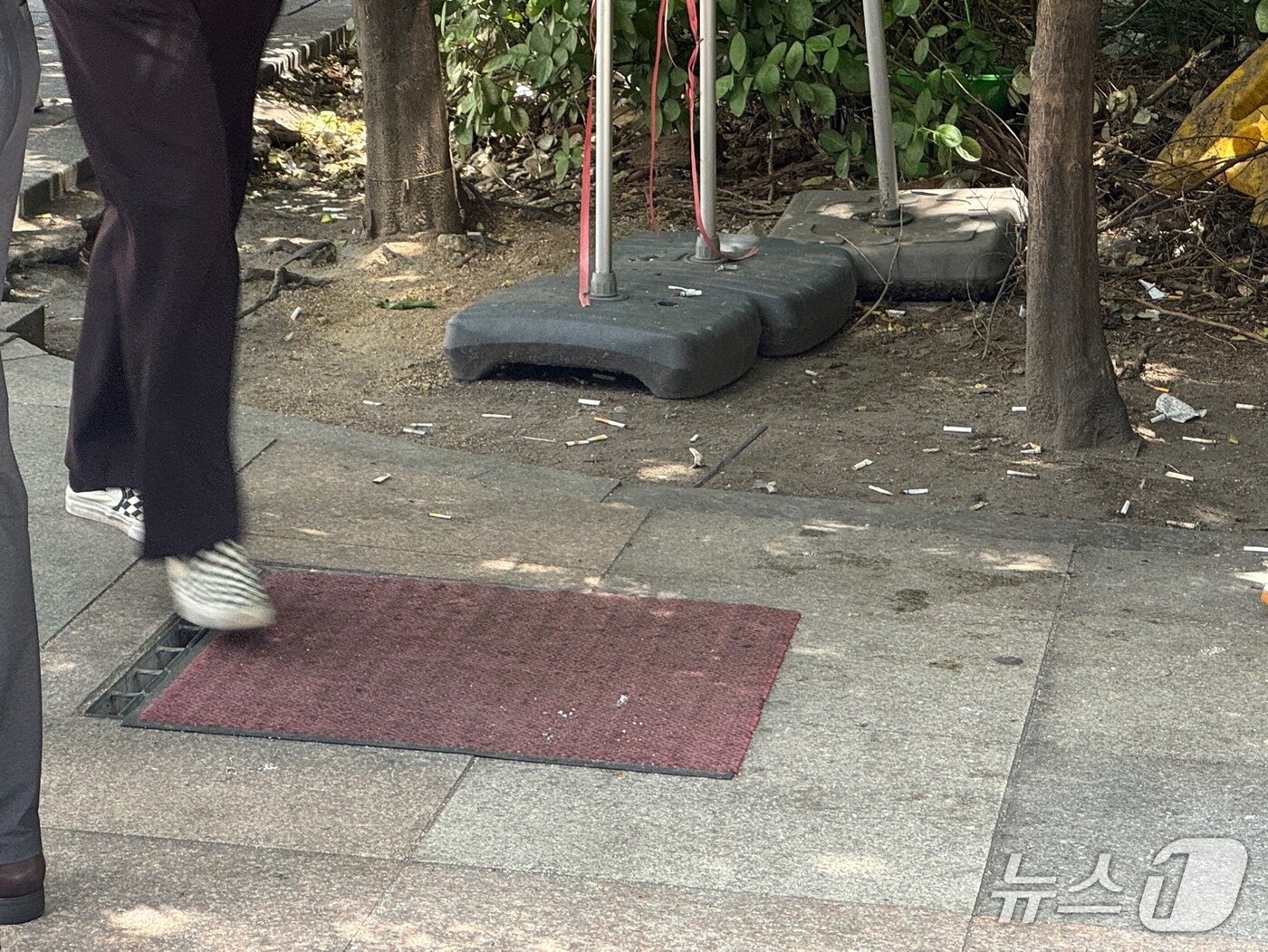 본문 이미지 - 통행로 인근 바닥에 버려져있는 담배꽁초들. 2025.08.05/뉴스1 ⓒ News1 권준언 기자