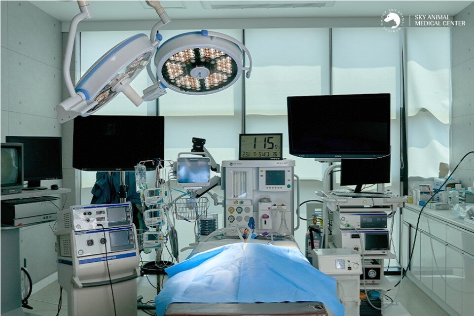 본문 이미지 - 인천 스카이동물메디컬센터 수술실(동물병원 제공). ⓒ 뉴스1