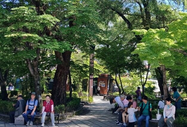 "부채만 있어도 충분해요"…낮 12시 '28도' 폭염·열대야 잊은 태백