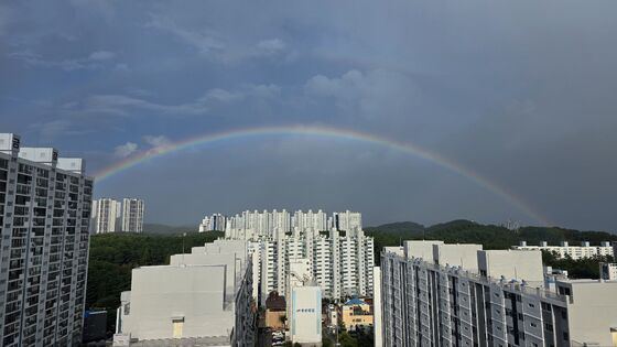 '폭염특보' 대구·경북 오전 11시 체감온도 34도…"무더위 지속"