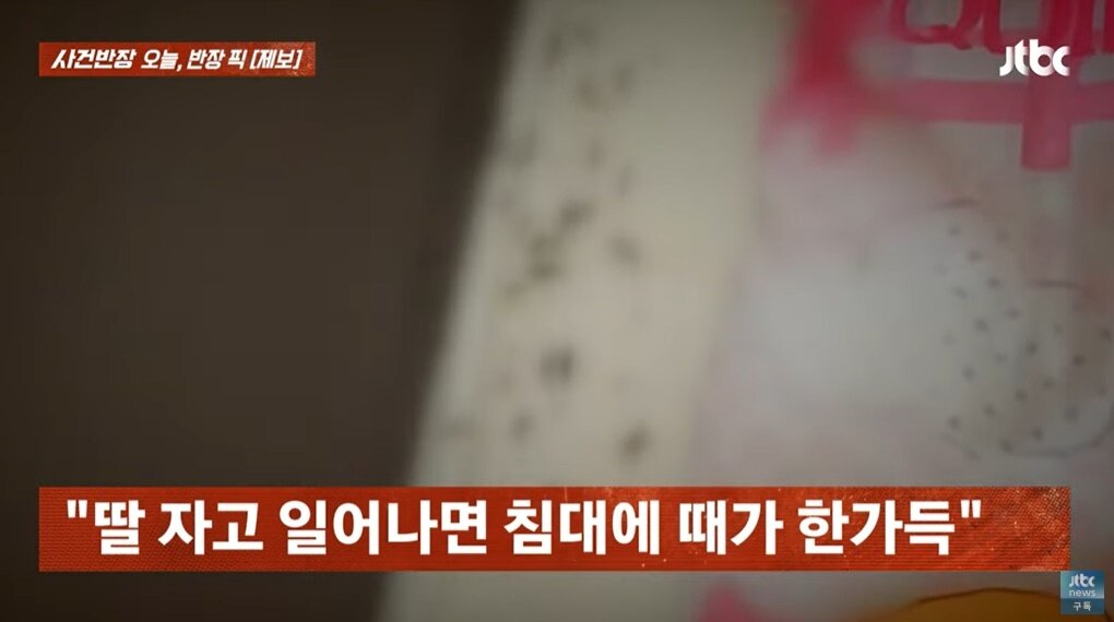 본문 이미지 - &#40;JTBC &#39;사건반장&#39; 갈무리&#41;