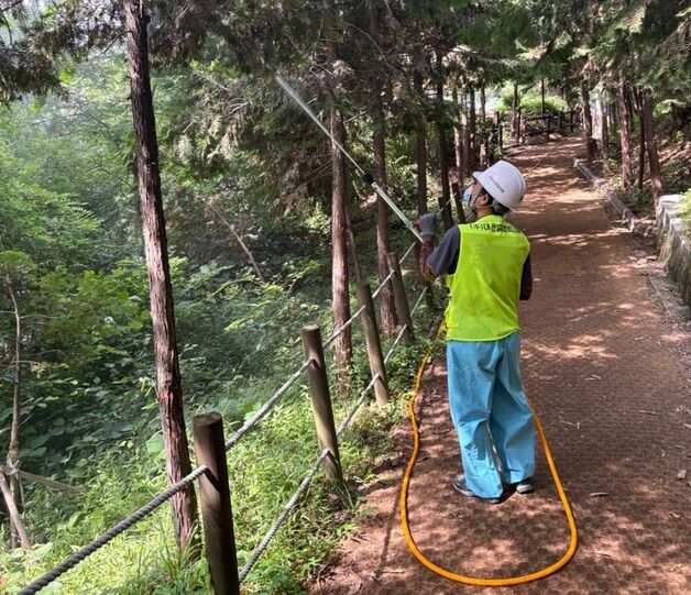 계양구, 관내 주요 등산로서 대벌레 확산 예방위한 방제 작업