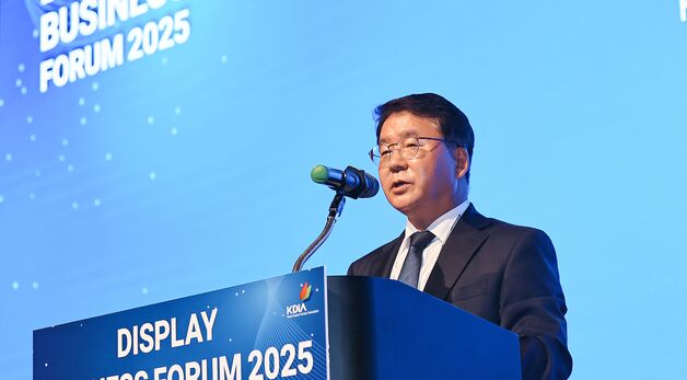 한국디스플레이산업협회 이승우 부회장