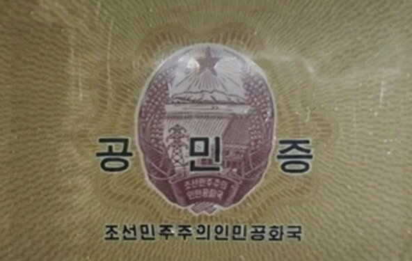 North Korean Citizen&#39;s Certificate / Extract from Google