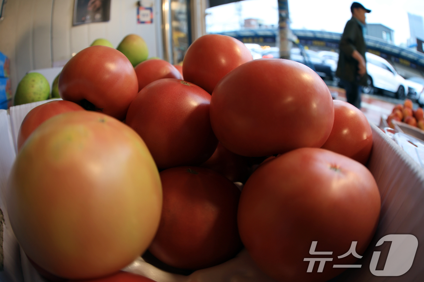 (서울=뉴스1) 박정호 기자 = 여름철 대표 과일과 과채인 수박과 복숭아, 토마토 등이 평년보다 비싸질 것으로 전망된 6일 오후 서울 동대문구 경동시장의 한 과일가게에 토마토가 진 …