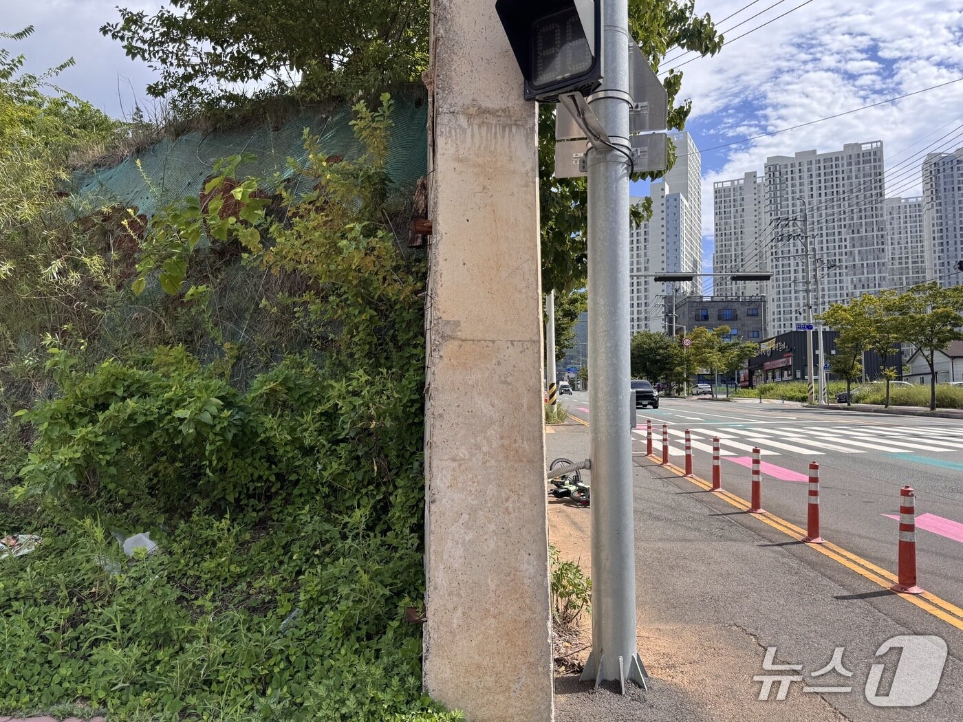 본문 이미지 - 6일 울산 북구 호계중사거리에 설치된 옹벽. 2025.8.6./뉴스1 ⓒ News1 김세은 기자