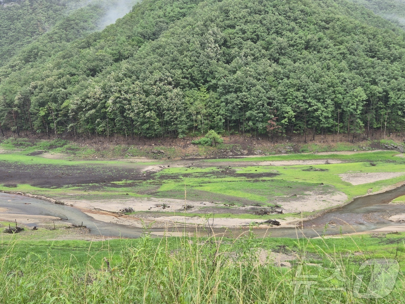 (강릉=뉴스1) 윤왕근 기자 = 6일 오후 강원 강릉시 성산면 오봉리 오봉저수지 일대. 이날 강수에도 불구하고 저수지 수위가 여전히 낮고, 인근 하천의 유량도 크게 늘지 않은 모습 …