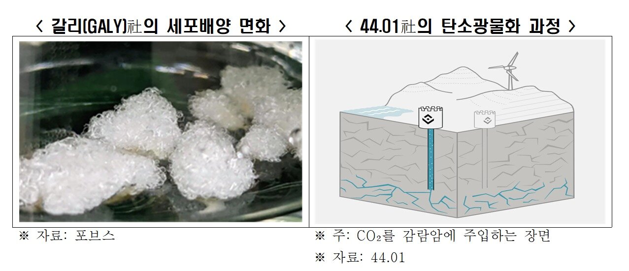본문 이미지 - 한국경제인협회 &#39;빌 게이츠 Pick 기후테크 스타트업 분석&#39; 보고서&#40;한경협 제공&#41;