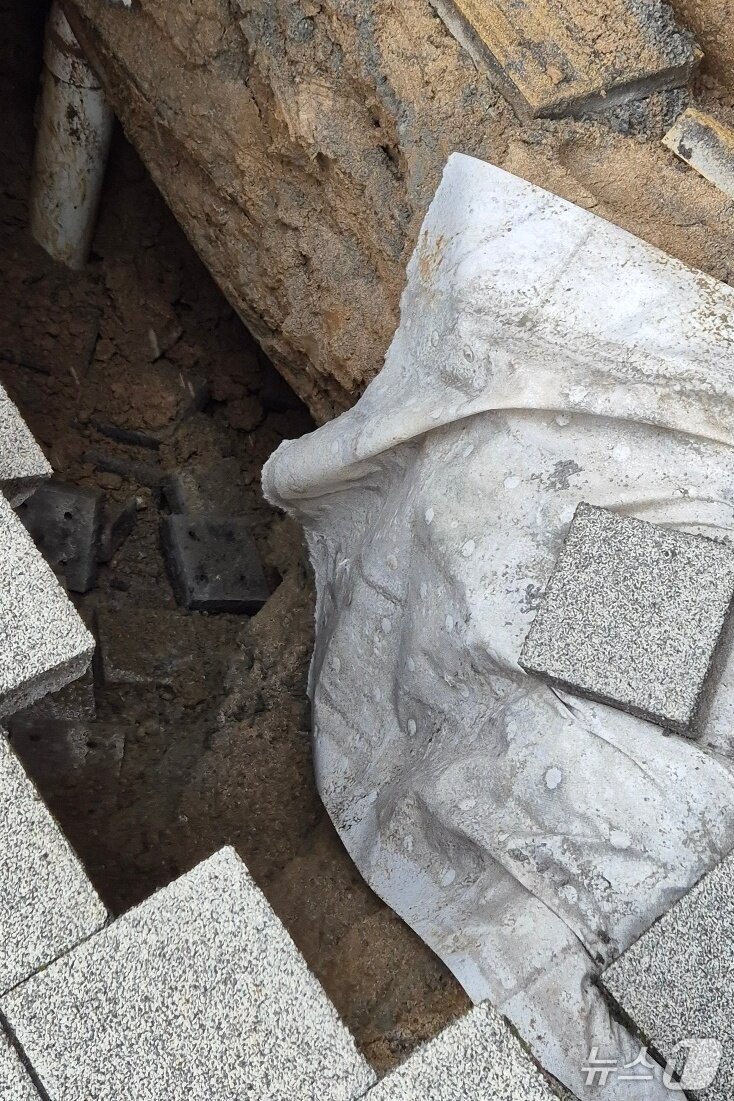 본문 이미지 -  땅꺼짐 내부.(독자 제공. 재판매 및 DB금지)/뉴스1