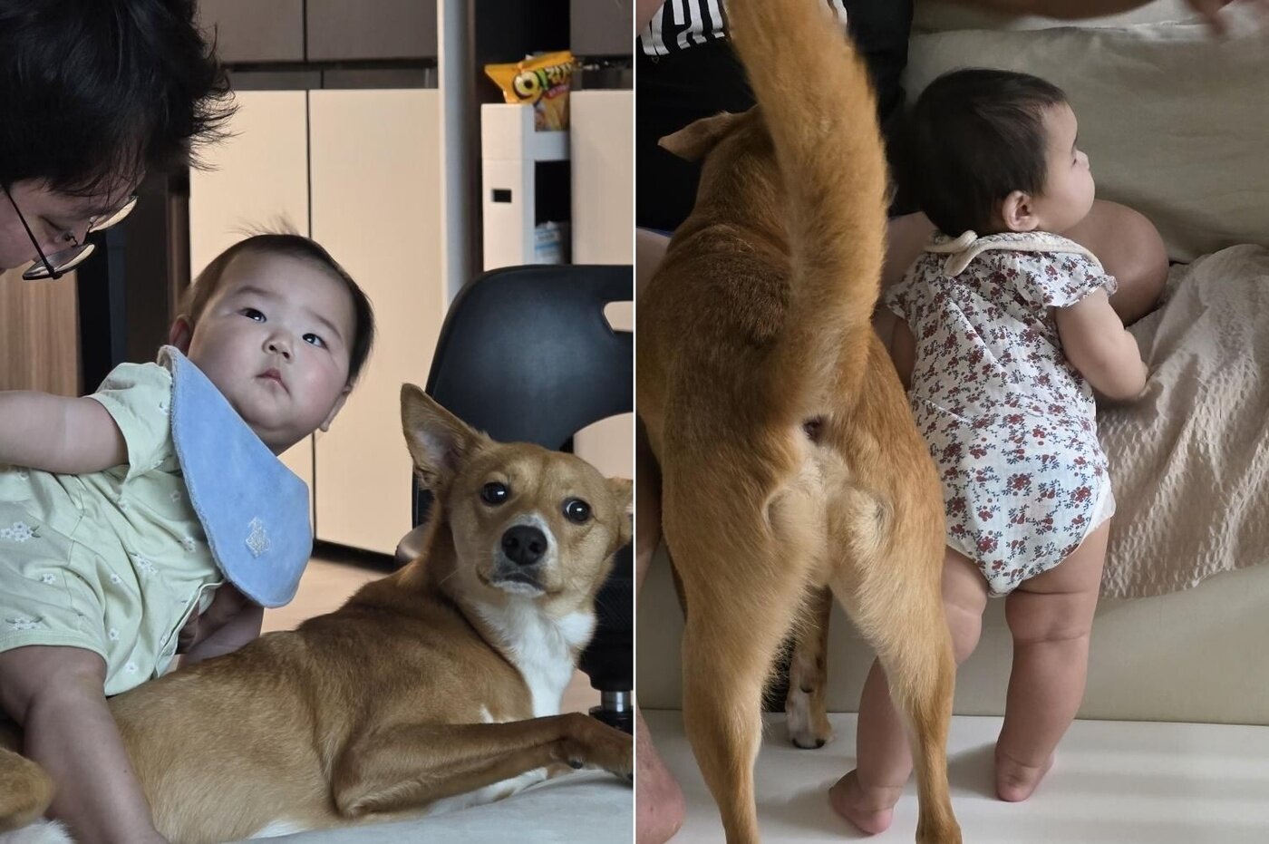 본문 이미지 - 행동도 닮아가는 모루와 아기&#40;인스타그램 naaaa0_2 제공&#41; ⓒ 뉴스1