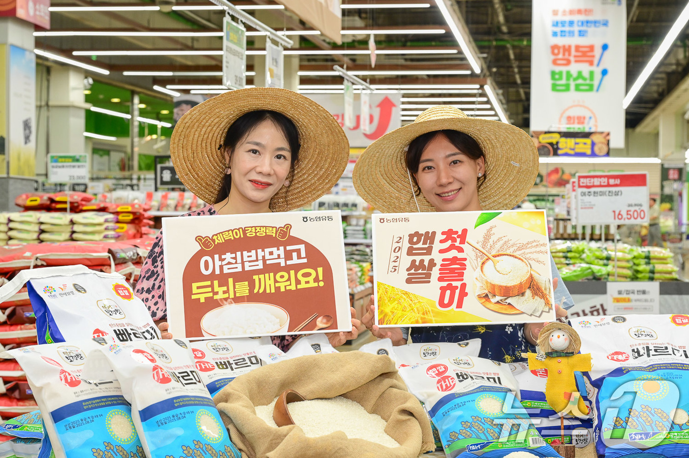 (서울=뉴스1) = 농협유통은 입추인 7일 2025년 처음 수확한 햅쌀을 선보이며 쌀 소비 촉진에 앞장선다고 밝혔다.모델들이 7일 서울 서초구 농협유통 하나로마트 양재점에서 올해 …