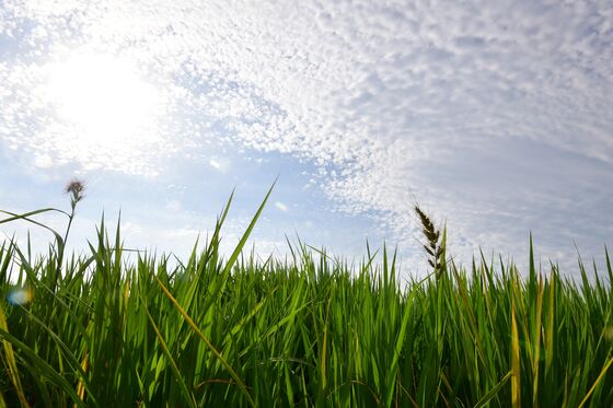 '입추'에 경주 낮 최고 33도…대구·경북 11곳 폭염주의보 유지