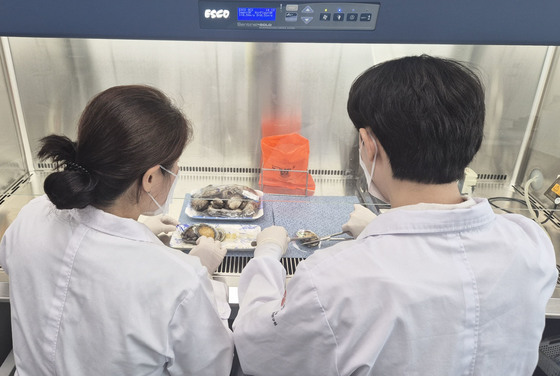 올해 첫 비브리오패혈증 사망자 발생…"해산물 섭취 시 주의"