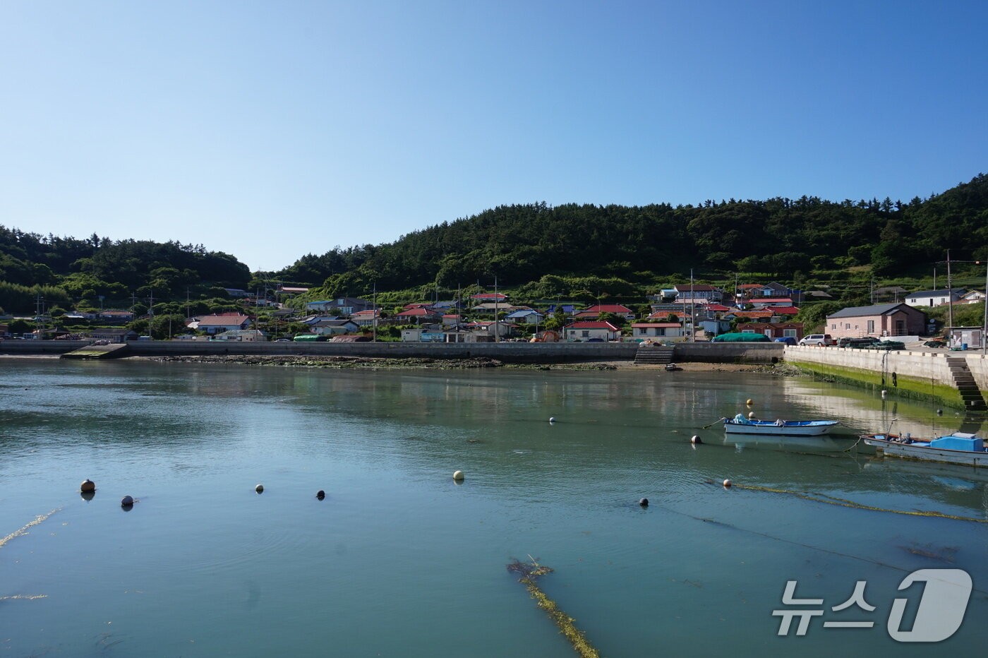 본문 이미지 - 나배마을. 마을 앞 해안에 백사장이 있었으나 호안공사로 사라졌다. 2025.8.8/뉴스1 ⓒ News1 조영석 기자 