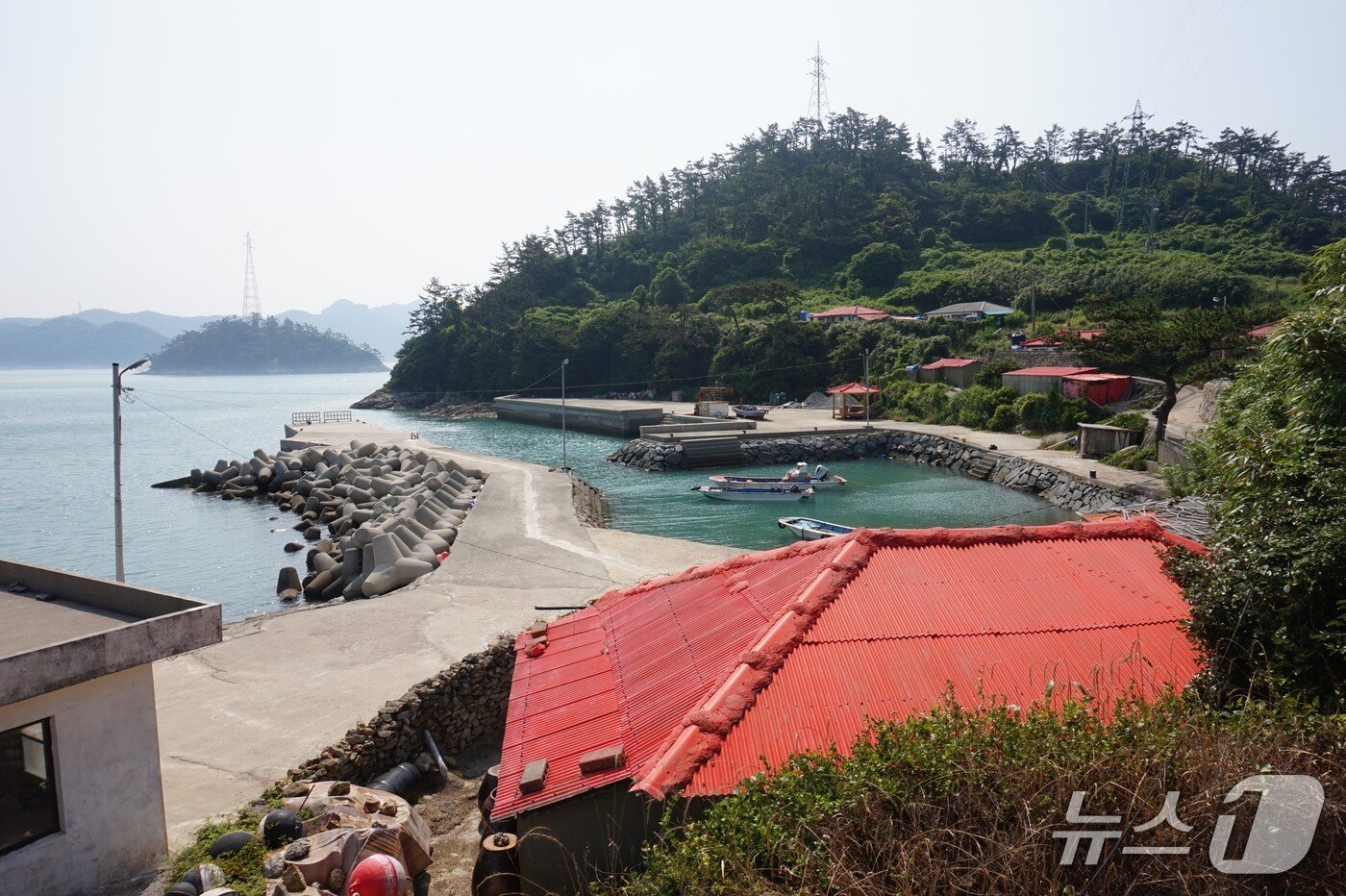 본문 이미지 - 모도마을 풍경. 왼쪽 건너편으로 소모도가 보인다. 2025.8.8/뉴스1 ⓒ News1 조영석 기자 
