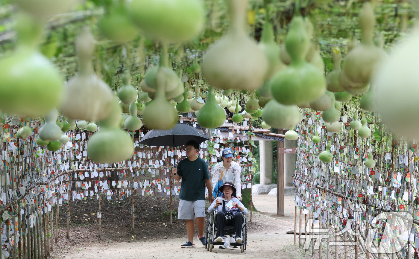 (용인=뉴스1) 김영운 기자 = 절기상 입추(立秋)인 7일 오후 경기 용인시 기흥구 한국민속촌을 찾은 관람객들이 조롱박 터널길을 걸으며 더위를 식히고 있다. 2025.8.7/뉴스1 …
