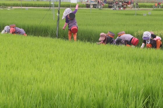 [오늘의 날씨] 대구·경북(8일,금)…낮 최고 33도 '후텁지근'