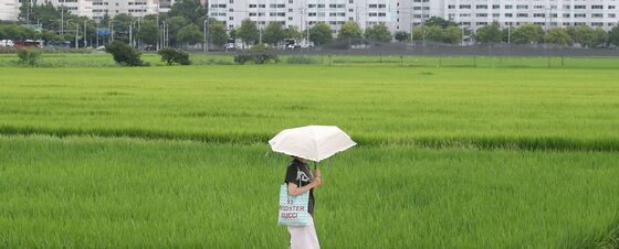 '입추' 아직 덥네