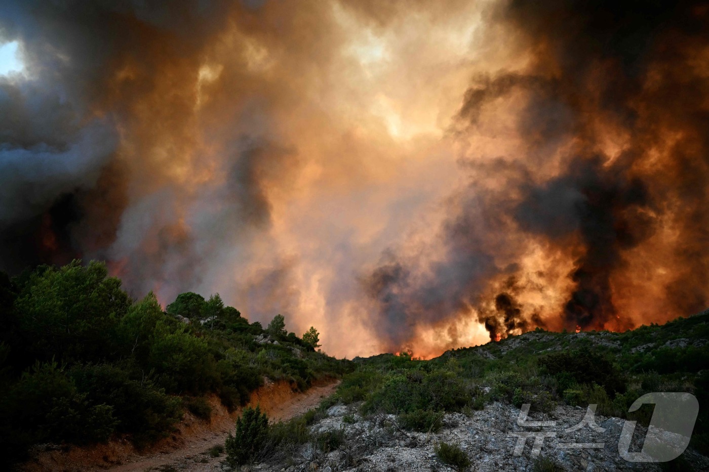 (AFP=뉴스1) 김경민 기자 = 프랑스 소방당국이 6일(현지시간) 약 80년 만에 가장 큰 산불을 진압에 총력을 기울이고 있다. 2025.8.6ⓒ AFP=뉴스1