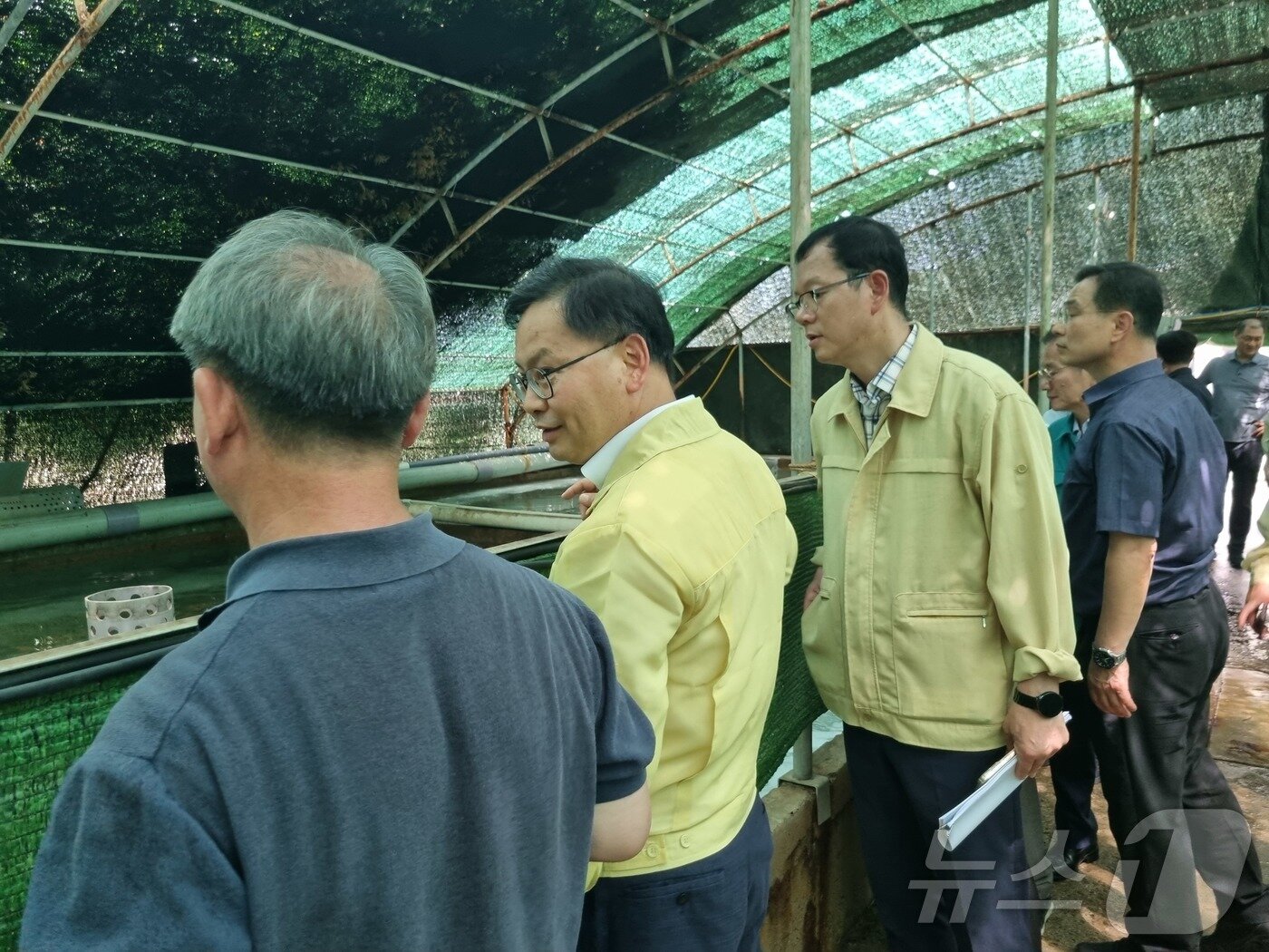 본문 이미지 - 지난 5일 포항시의 육상 강도다리 양식장을 직접 방문해 고수온 대응 장비 작동 현황과 사육 관리 상황을 점검했다. ⓒ News1 김대벽기자