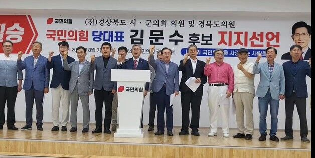 경북 광역·기초의원 194명 "김문수 당 대표 적임자…전폭 지지"