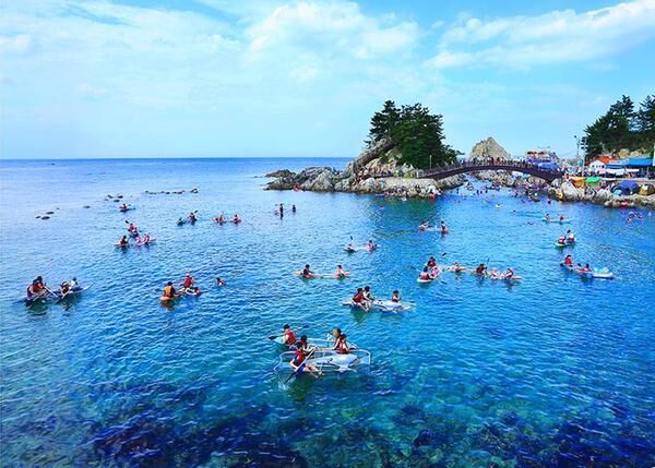 삼척의 역주행…국내 바다 여행지 판도 바꼈네