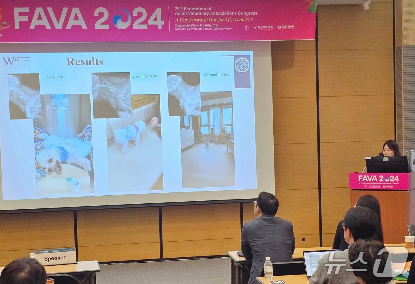 본문 이미지 - 홍연정 웨스턴동물의료센터 원장이 &#39;파바 2024&#39;에서 증례 발표를 하고 있다&#40;동물병원 제공&#41;. ⓒ 뉴스1