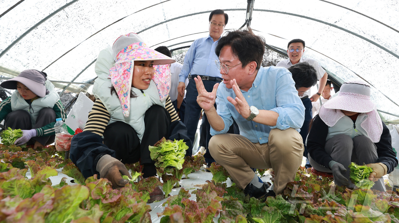 (서울=뉴스1) = 김영훈 고용노동부 장관이 8일 안호영 환경노동위원회 위원장과 함께 전북 완주군 외국인 고용 농가를 방문하여  무더위 속 외국인 노동자들의 목소리를 청취하고 있다 …