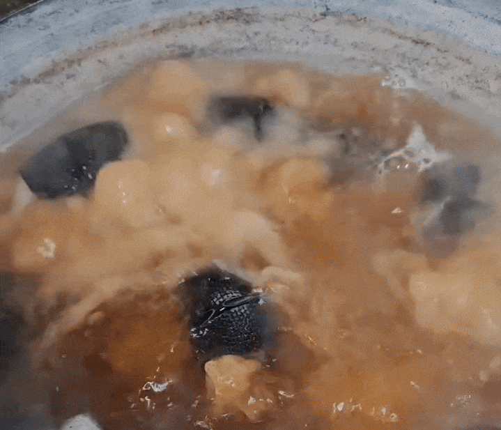 본문 이미지 - &#40;SNS 갈무리&#41;