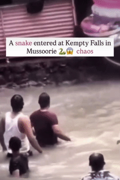 본문 이미지 - 인도 우타라칸드주의 명소인 켐프티 폭포에서 뱀이 나타나 물놀이를 즐기던 사람들이 달아나는 모습. &lt;출처=페이스북 Little Dehradun Stories 영상 갈무리&gt;
