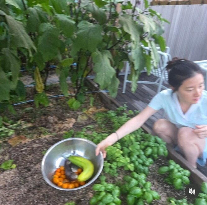 본문 이미지 - 이영애 인스타그램