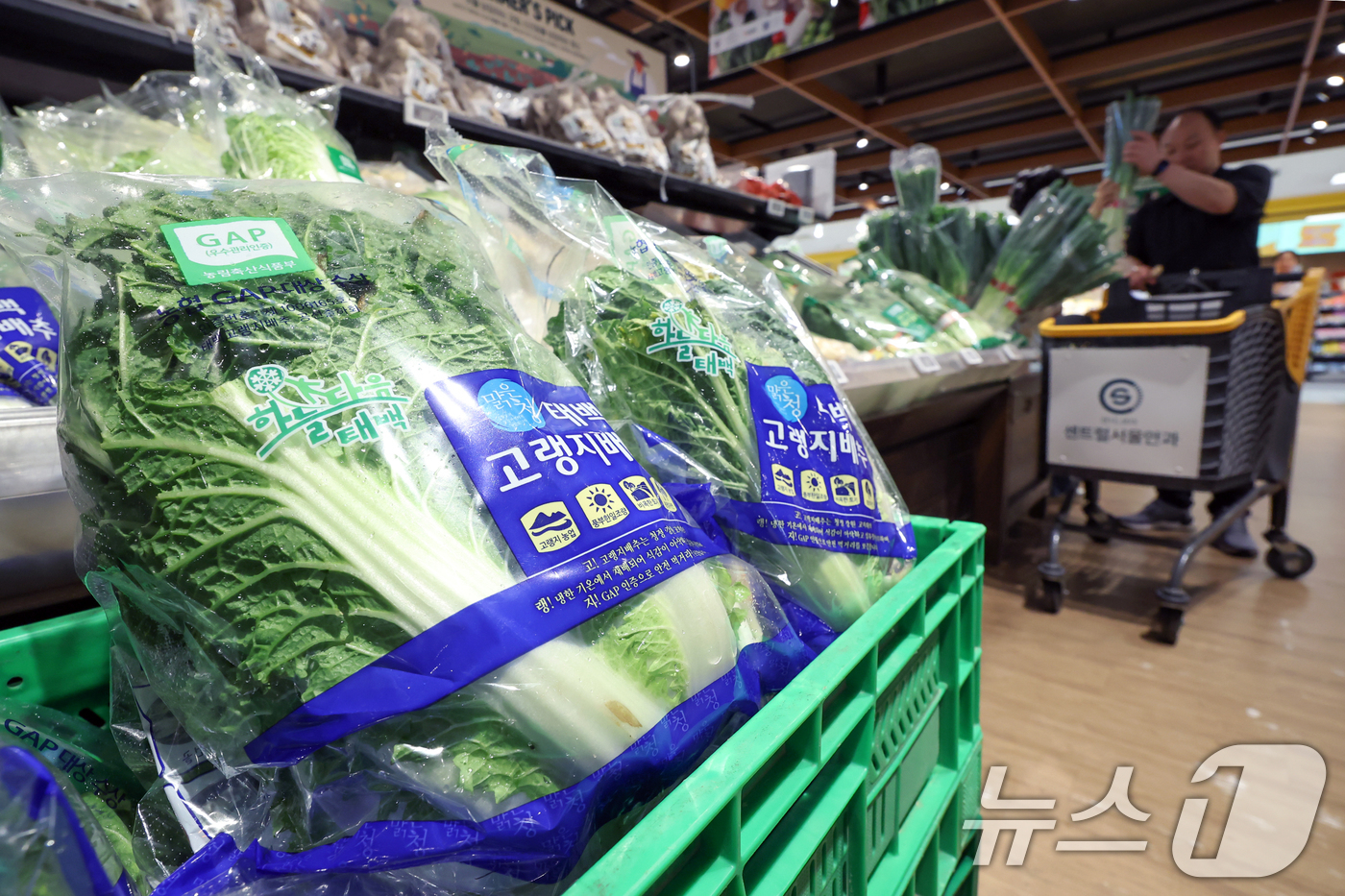 (서울=뉴스1) 민경석 기자 = 폭염·집중호우 등 이상기후와 가공식품 가격 인상 등 고물가 영향으로 우리나라 가구의 식료품·음료 소비가 9년 만에 가장 적은 수준을 기록한 것으로 …