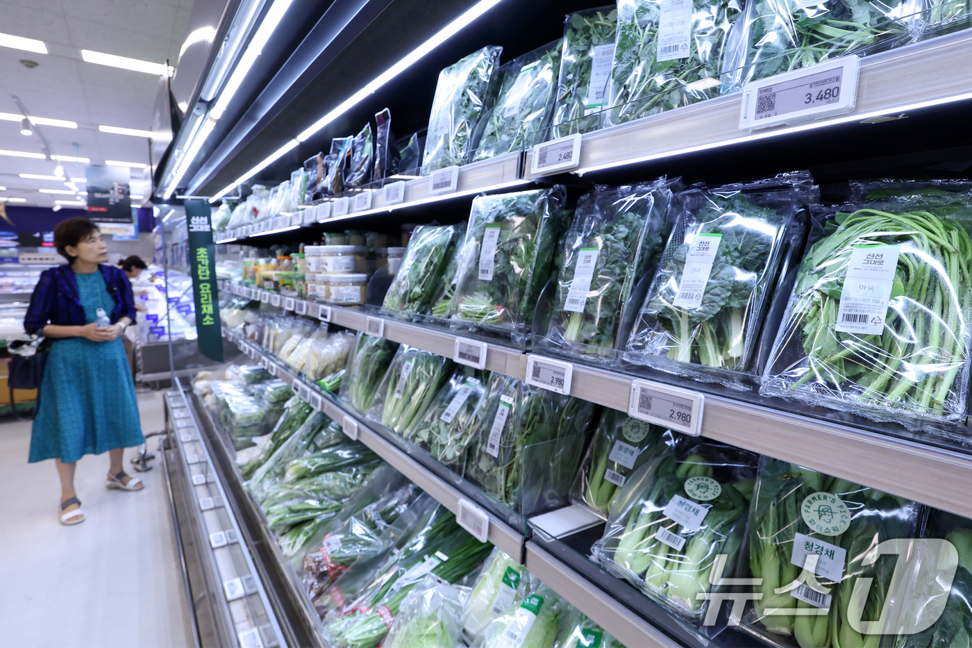 (서울=뉴스1) 민경석 기자 = 폭염·집중호우 등 이상기후와 가공식품 가격 인상 등 고물가 영향으로 우리나라 가구의 식료품·음료 소비가 9년 만에 가장 적은 수준을 기록한 것으로 …