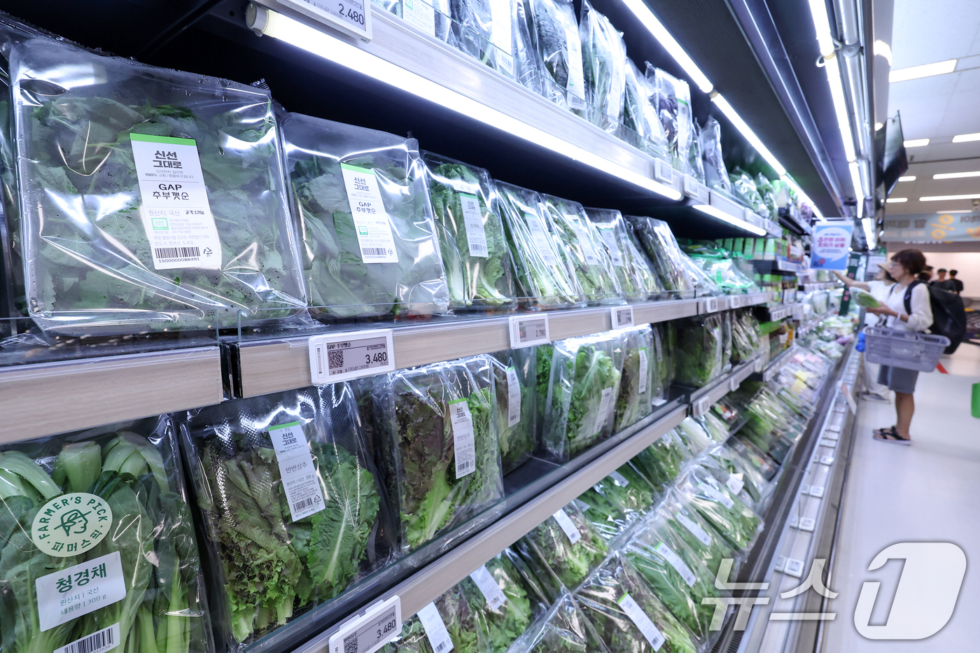 (서울=뉴스1) 민경석 기자 = 폭염·집중호우 등 이상기후와 가공식품 가격 인상 등 고물가 영향으로 우리나라 가구의 식료품·음료 소비가 9년 만에 가장 적은 수준을 기록한 것으로 …