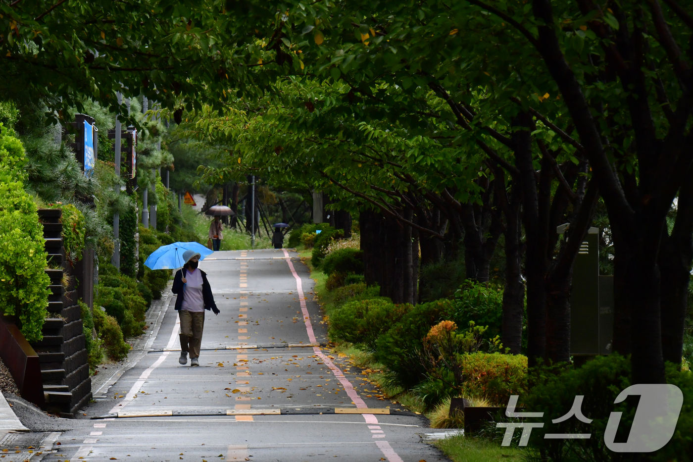 (포항=뉴스1) 최창호 기자 = 10일 경북 포항시 전역에 가을비가 내리고 있는 가운데 시민들이 남구 철길 숲 길을 따라 걸어가고 있다. 2025.9.10/뉴스1