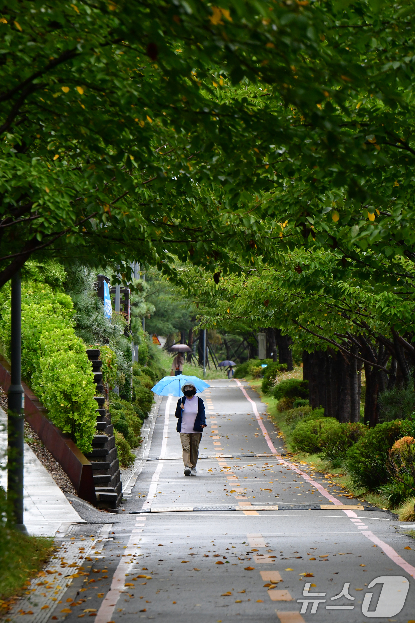 (포항=뉴스1) 최창호 기자 = 10일 경북 포항시 전역에 가을비가 내리고 있는 가운데 시민들이 남구 철길 숲 길을 따라 걸어가고 있다. 2025.9.10/뉴스1
