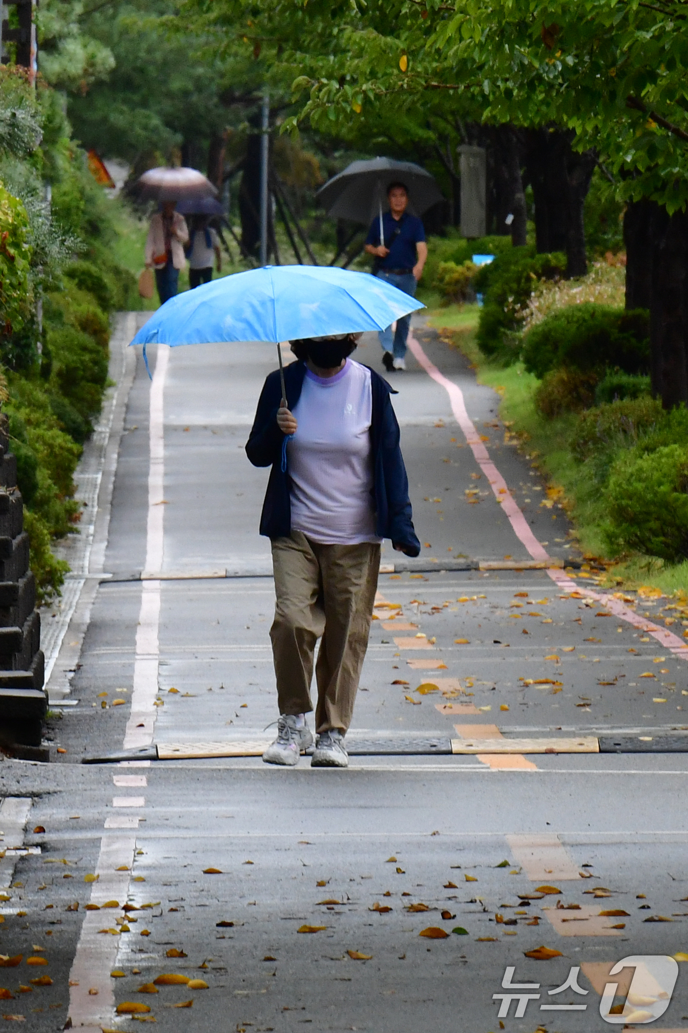(포항=뉴스1) 최창호 기자 = 10일 경북 포항시 전역에 가을비가 내리고 있는 가운데 시민들이 남구 철길 숲 길을 따라 걸어가고 있다.  2025.9.10/뉴스1