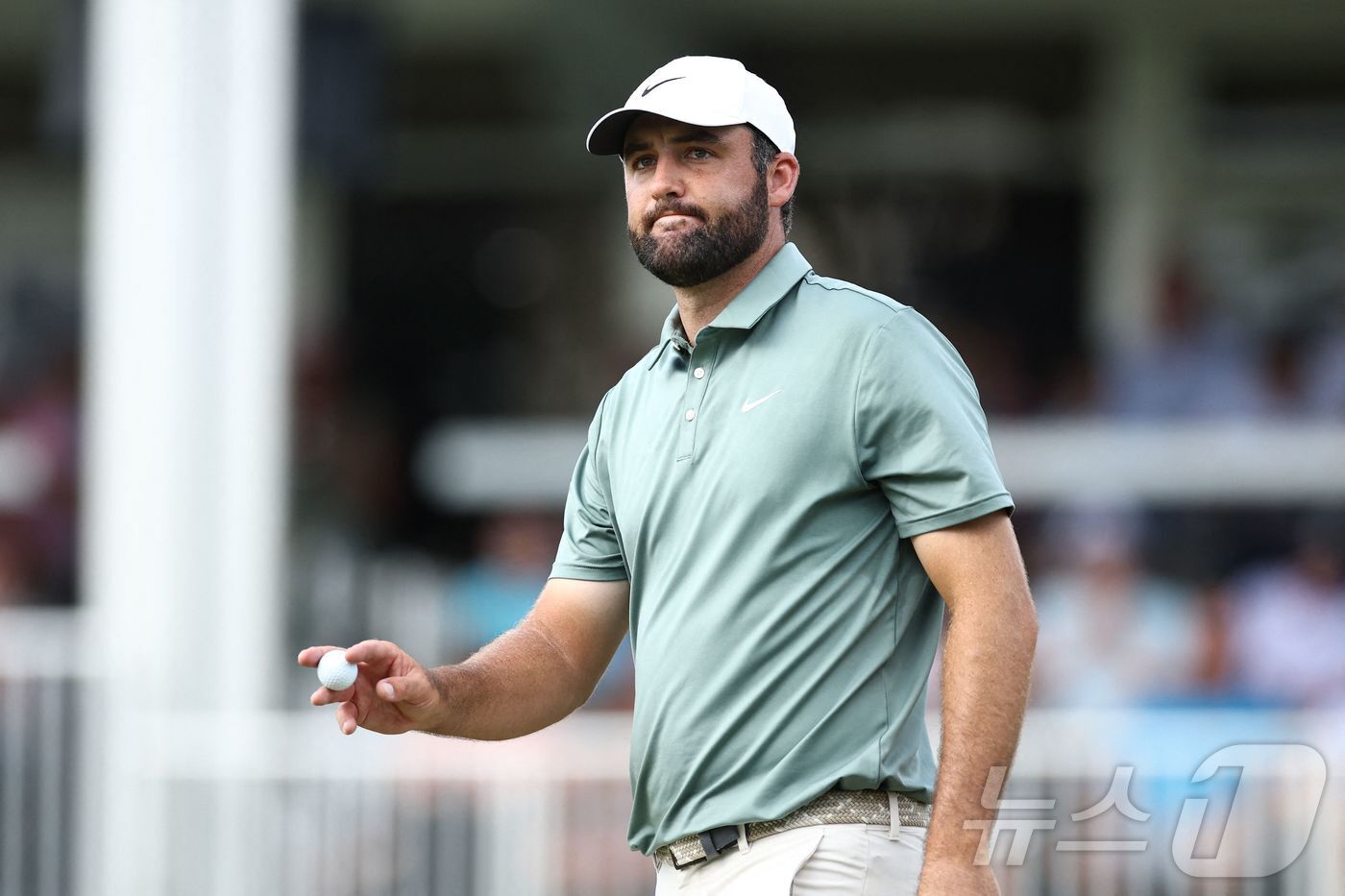 본문 이미지 - 남자 골프 세계랭킹 1위 스코티 셰플러&#40;미국&#41;. ⓒ AFP=뉴스1