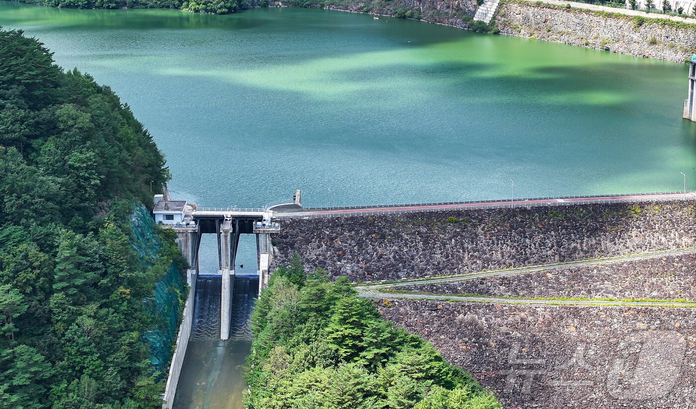 본문 이미지 - 10일 강원 평창군 대관령면 도암댐에 초록빛 물이 차 있다. 환경부와 강릉시가 가뭄 해소를 위해 도암댐 물을 비상 방류해 한시적으로 생활용수로 쓰기로 했다. 오는 20일 전후 시험 방류를 시작하며, 수질 이상 시 즉시 중단한다. 수질검증위원회와 정수 처리 과정을 통해 안전성을 확인하고 하루 1만 톤 원수를 확보할 계획이다. 2025.9.10/뉴스1 ⓒ News1 김진환 기자