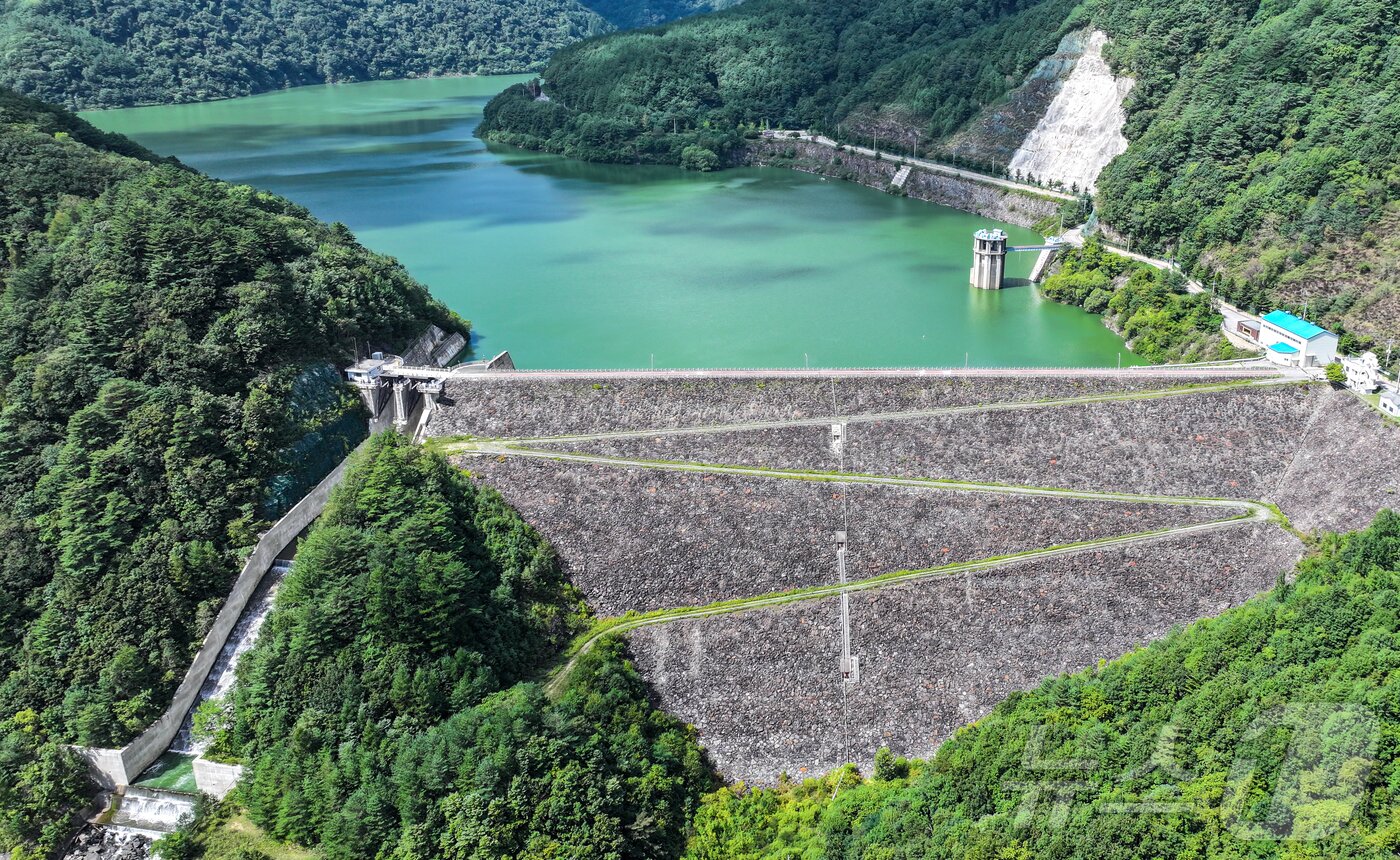 본문 이미지 - 지난 9월 10일 강원 평창군 대관령면 도암댐에 초록빛 물이 차 있다ⓒ News1 김진환 기자