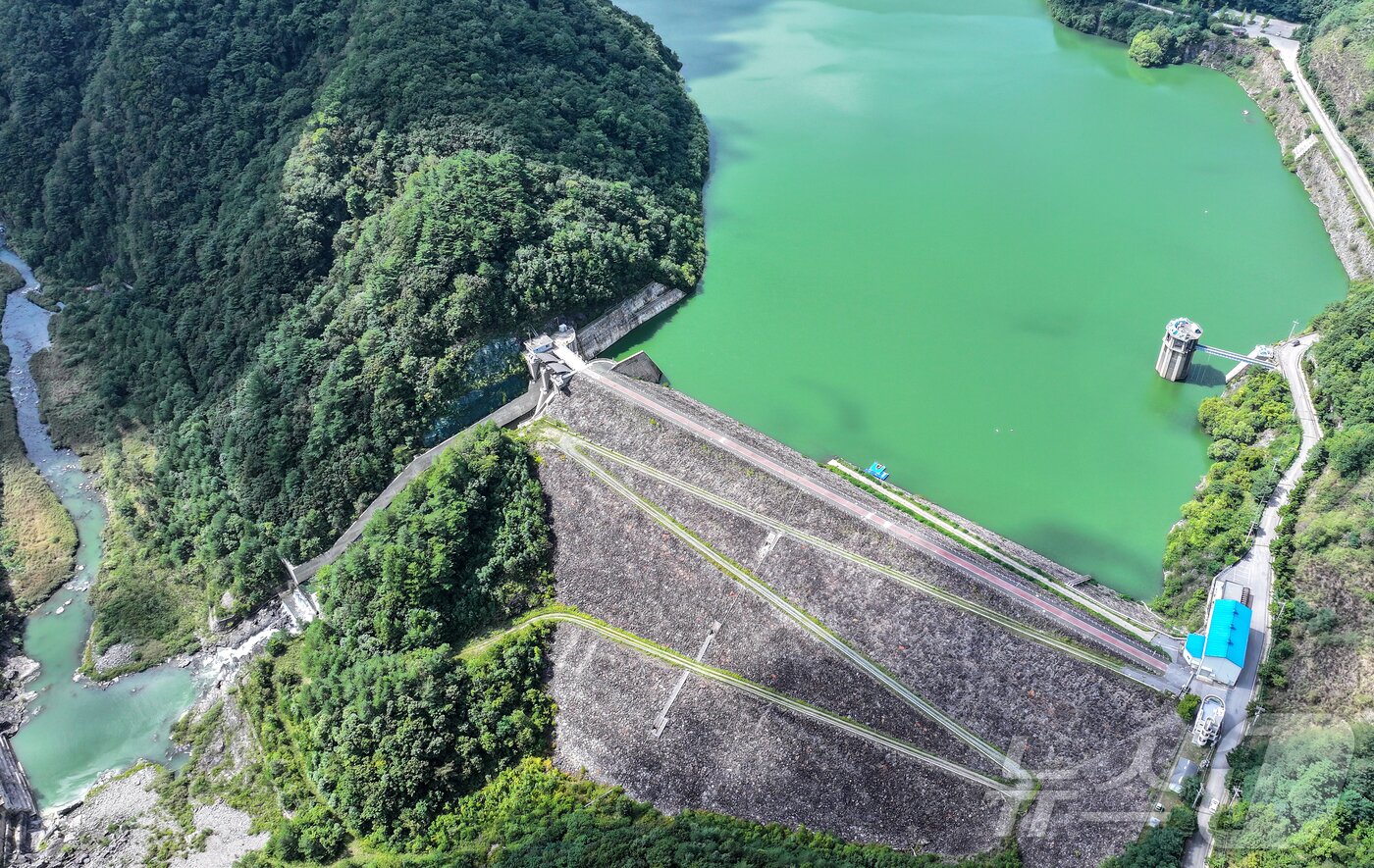 본문 이미지 - 지난 10일 강원 평창군 대관령면 도암댐에 초록빛 물이 차 있다. 뉴스1 ⓒ News1 김진환 기자