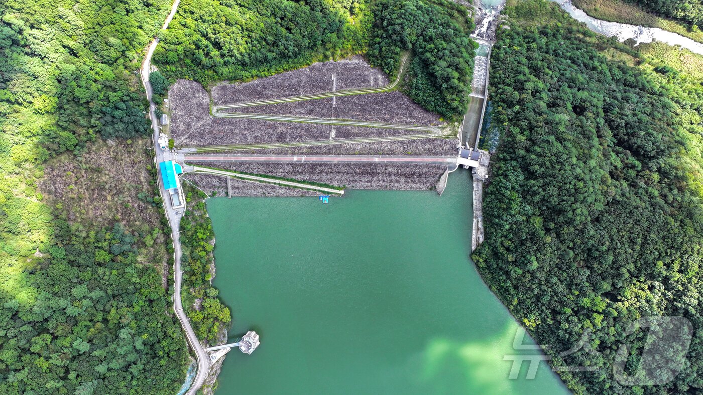 본문 이미지 - 10일 강원 평창군 대관령면 도암댐에 초록빛 물이 차 있다. 2025.9.10/뉴스1 ⓒ News1 김진환 기자