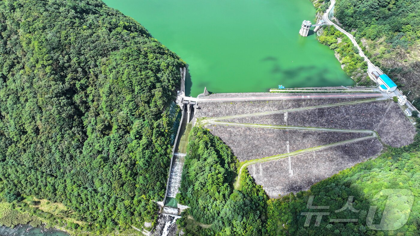본문 이미지 - 10일 강원 평창군 대관령면 도암댐에 초록빛 물이 차 있다. 2025.9.10/뉴스1 ⓒ News1 김진환 기자